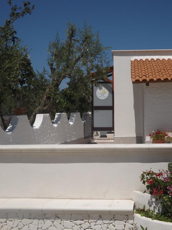 Il Giunco B&B Vieste Eksteriør billede