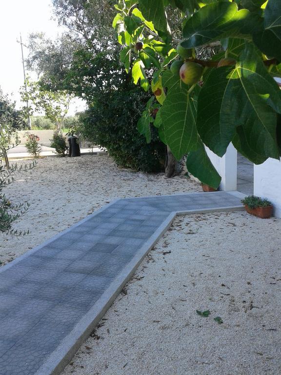 Il Giunco B&B Vieste Eksteriør billede